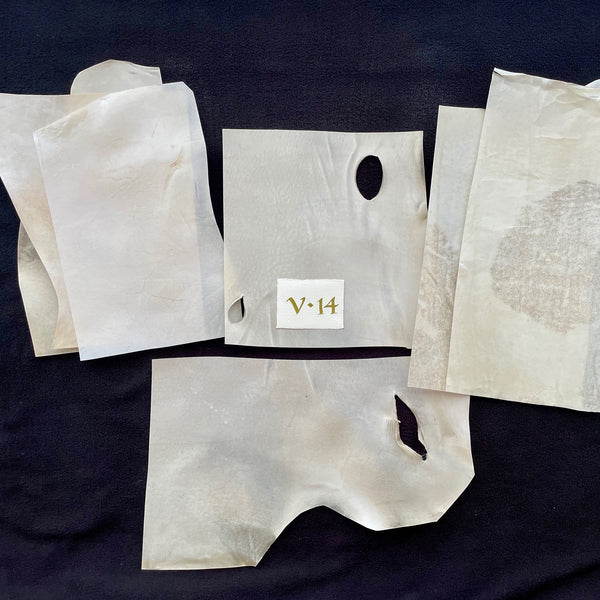 Vellum Off Cut (Calfskin) – Heirloom Artists: Holly Monroe