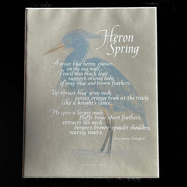 Heron Spring